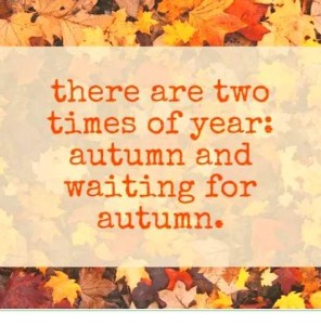 there are two times of year: autumn and waiting for autumn. (orange font on yellow background with top and bottom borders of autumn leaves)