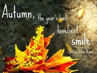 Autumn, the year's last, loveliest smile. William Cullen Bryant (Background is blurry green and tan; foreground is a few leaves that are yellow, orange, and red.)