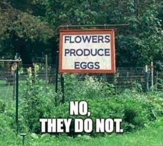 Roadside sign hung in front of a garden with the 3 words FLOWER - PRODUCE - EGGS. Caption: No, they do not.