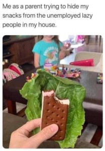 Photo of someone holding a large lettuce leaf with an ice cream sandwich behind it; in the background is a child looking at the lettuce leaf. Caption: Me as a parent trying to hide my snacks from the unemployed lazy people in my house.