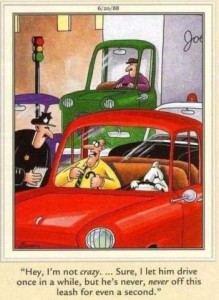 Cartoon showing a police officer standing next to a car with a ticket book in his hand, talking to a man in the passenger seat. A dog is behind the steering wheel. Caption: "Hey, I'm not crazy... Sure, I let him drive once in a while, but he's never never off this leash even for a second!"