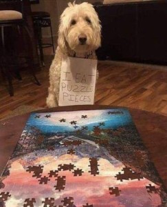 Big tan shaggy dog sitting in front of a table with a jigsaw puzzle on it, which is mostly finished but missing some pieces. The dog is wearing a sign around his neck that says, "I eat puzzle pieces."