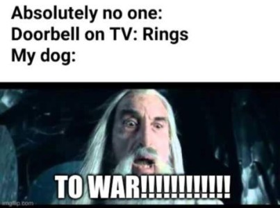 Photo of an old man with a long white hair and long mustache (probably a movie character I don't know). When the doorbell on TV rings...my dog: TO WAR!!!!!