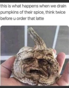 Photo of a shriveled up head with a stalk sticking out the top. The face has a look of sad despair. Caption: this is what happens when we drin pumpkins of their spice; think twice before you order that latte.