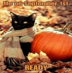 A black cat sitting in colorful leaves on the ground, wearing a tan and brown scarf around its neck, next to a pumpkin. Caption: Me on September 1st. READY.