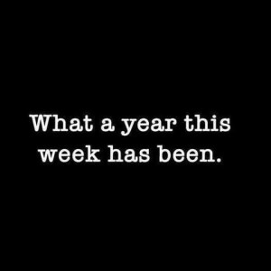 Text only. What year this week has been.
