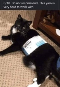 A black cat laying on the floor with a yarn label around his middle. Caption: 0/10. Do not recommend. This yarn is very hard to work with.