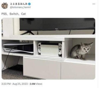 Minimalist black and white photo from a social media post by someone whose name is asian characters of a white entertainment center showing three sections, each with an object: PS5, Switch, Cat is the comment, and a kitten occupies the 3rd space.