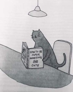 black and white drawing of a cat sitting at a table reading a book entitled "How To Be Super Annoying and Cute"
