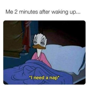 Cartoon of Donald Duck sitting up in bed, eyes half-closed, looking groggy, with the words *I need a nap*. Caption: Me 2 minutes after waking up...