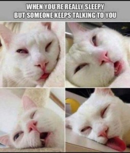 4 photos of a white cat in various positions of sleep, eyes only partially open but rolled back, 3rd eyelid clearly visible, mouth open in a couple of them, tongue hanging out in one, face smushed against in 3 of them.