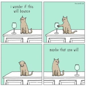 4 cartoon frames of a cat sitting on a counter. 1st frame there is a wine glass sitting to the right of him and the caption is "I wonder if this will bounce." 2nd frame his paw is touching the glass. 3rd frame there is no glass, and he is looking at the floor. last frame he is looking to his left at another wine glass and the caption is "maybe that one will."