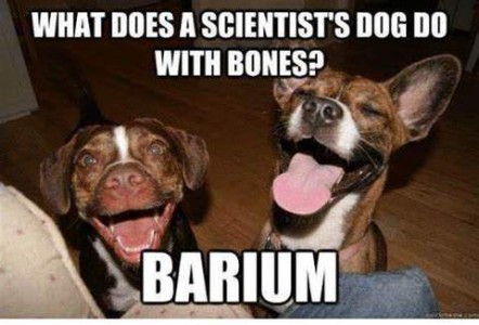 Photo of two dogs looking up toward the camera with mouths open as if grinning. Caption: What does a scientist's dog do with bones? BARIUM!