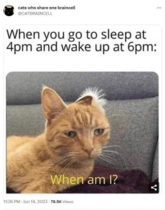 photo of a yellow tabby cat with eyes half open and one ear folded back, with the words, "When am I?" Caption: When you to sleep at 4 p.m. and wake up at 6 p.m."