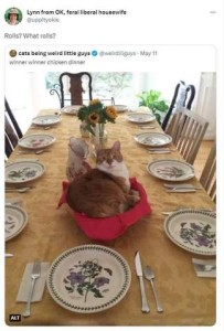 Screenshot of a social media post by Lynn from OK, feral liberal housewife, reposting a photo of an elegantly set dining table for 11 with a gold tablecloth, polished silverware, a daisy centerpiece, and a basket with a red napkin in it, and a yellow and white cat laying atop it. Caption: Rolls? What rolls?