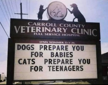 Sign in front of the Carroll County Veterinary Clinic: Dogs prepare you for babies; cats prepare you for teenagers