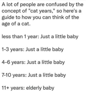 Text only: A lot of people are confused by the concept of "cat years" so here's a guide to how you can think of the age of a cat. less than 1 year: Just a little baby 1-3 years: Just a little baby 4-6 years: Just a little baby 7-10 years: Just a little baby 11+ years: elderly baby