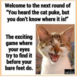 White cat with brown and orange about its head, with mouth open and winking its right eye. Text: Welcome to the next round of "You heard the cat puke, but you don't know where it is!" The exciting game where your eyes try to find it before your bare feet do.