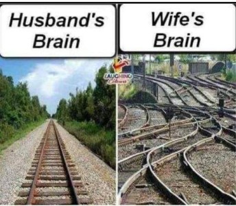 Photo of a straight train track with trees on both sides, labelled Husband's brain, next to a photo of a train yard with multiple curving tracks crossing on top of each other, labelled Wife's Brain.