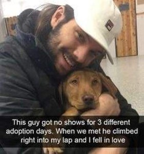 Close up photo of a bearded man hugging a brown dog and smiling. Text: This guy got no shows for 3 different adoption days. When we met he climbed right into my lap and I fell in love.