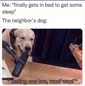 Me: *finally gets in bed to get some sleep* The neighbor's dog: [photo of a golden retriever wearing headphones, his mouth at a microphone] Caption: "testing one two woof woof"