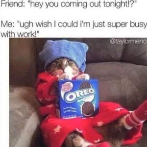 Friend: "Hey, you coming out tonight!?" Me: "Ugh Wish I could I'm just super busy with work!" Photo of a cat sitting back on a comfy chair, wearing a red robe and socks, a blue fuzzy hat, and holding a box of Oreos.
