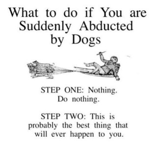 Black and white drawing of a team of dogs pulling a man on a sled-type-apparatus as he is flailing. Text: What to do if you are suddenly abducted by dogs. Step One: Nothing. Do nothing. Step Two: This is probably the best thing that will ever happen to you.