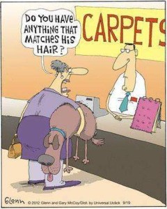 Cartoon of a woman at a carpet store talking to a salesman while holding a dog under her arm, asking, "Do you have anything that matches his hair?"