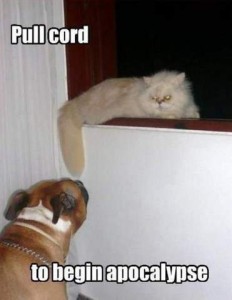 Photo of a white cat with angry eyes sitting on a ledge, with a boxer dog below it, reaching toward the cat's tail. Text: Pull cord to begin apocalypse.