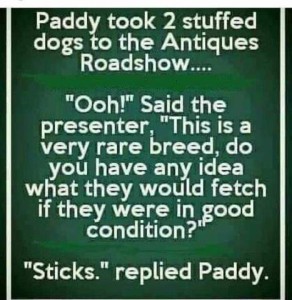 Text only Paddy took 2 stuffed dogs to the Antiques Road Shows. "Ooh!" said the presenter, "This is a very rare breed, do you have any idea what they would fetch if they were in good condition?" "Sticks,"replied Paddy.