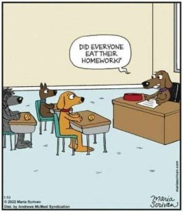 Cartoon of a classroom; several dogs are sitting at student desks, looking at the teacher they have tennis balls on their desks. The teacher is seated at the larger desk addressing the class, saying, "Did everyone eat their homework?"