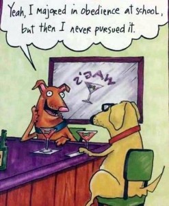 Cartoon of two dogs sitting at a bar called Wag's. They each have a martini glass in front of them. One is telling the other, Yeah, I majored in obedience at school, but then I never pursued it.