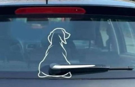 The outline of a dog on the rear window of a car. The windshield wiper is placed to look like a wagging tail when it is turned on.