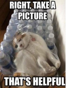 Mostly white cat laying twisted under the heavy plastic wrapping of a partial case of water bottles. Text: Right, take a picture. That's helpful.