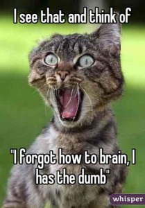 Gray tabby cat with eyes and mouth wide open, he appears to be missing an ear. Text: I see that and think of "I forgot how to brain, I has the dumb"
