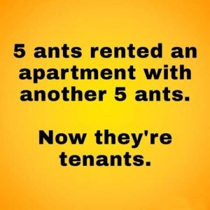 Text only. 5 ants rented an apartment with another 4 ants. Now they're tenants.