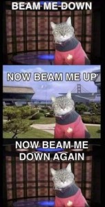 3 frames, all showing a gray tabby cat wearing a Star Trek uniform. The top one says "Beam me down" and there is a patterned backlit wall behind him. Middle frame says "Now beam me up" and shows him in an outdoor scene with a suspension bridge and some building in the background. Bottom frame is identical to the first.