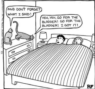 Drawing of a husband and wife sleeping in their bed, on their backs. 2 cats are on the dresser next to the bed. One is saying, "And don't forget what I said!" The other, who looks like he's about to jump down, replies, "Yeh yeh, go for the bladder! Go for the bladder! I got it!"