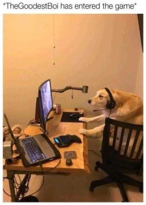 Photo of a golden retriever sitting at a desk chair in front of a computer, front paws on the desk, wearing headphones. Caption: "TheGoodestBoi has entered the game."