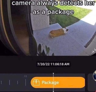 Photo of a corgi laying on a porch as seen through a security camera from inside the house; the indicator at the bottom of the camera screen shows that the porch contains a package. Caption: Camera always detects her as a package.