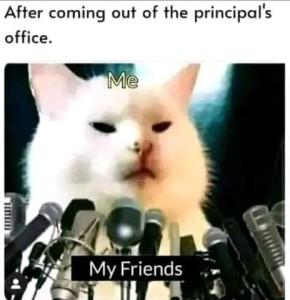 After coming out of the principals' office: Photo of a white cat's face, labeled "ME" behind a bank of microphones, as if on the news, with the words "My friends"