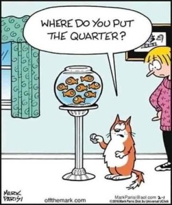 Cartoon of a fishbowl with 8 goldfish in it, standing on a pedastal, A woman is watching the orange and white cat who is standing next to the pedestal with a coin in his hand, asking her, "Where do you put the quarter?"