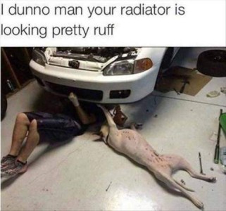 Photo from above of a man, and a large white dog, laying on their backs on the floor, heads under the front of a car with thee hood up; each has a hand or paw up on the front. Text: I dunno, man, your radiator is looking pretty ruff.