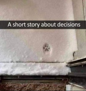 photo of a snow with a single cat print in it, just outside of a doorway. Text: A short story about decisions.