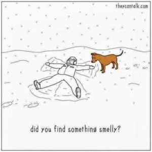 Cartoon shows a person making a snow angel with the dog looking at him asking, "Did you find something smelly?"