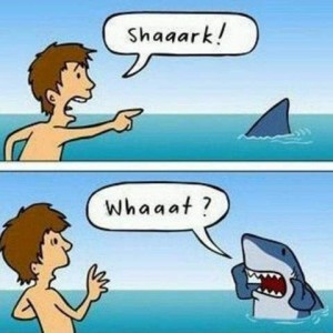 2-frames of a cartoon. In the top is a boy in the ocean, eyes and mouth open, pointing to a triangular fin in the water nearby, yelling, "SHAAARK!" Bottom frame shows the same boy looking surprised and leaning back as the shark rises out of the water and with his fins on the sides of his mouth yells back, "WHAAAT?"