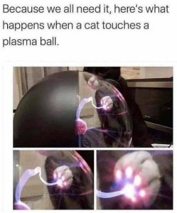Because we all need it, here's what happens when a cat touches a plasma ball [3 photos of a black cat with a white paw touching a plasma ball; each photo is closer; the final photo shows only the toe beans are lit up at the point of contact]