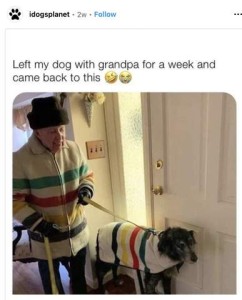 Elderly man just inside the door wearing a white coat with green, red, yellow, and black stripes. He is holding a dog's leash, as if about to take him for a walk. The dog is wearing a white coat with green, red, yellow, and black stripes. Caption: Left my dog with grandpa for a week and came back to this.
