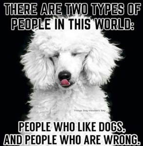 Photo of a white poodle, eyes closed, tongue out to lick his nose. Text: There are two types of people in this world: People who like dogs, and people who are wrong.