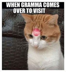 While and orange can has a lipstick mark on his forehead from a kiss. Text: When gramma comes over to visit.